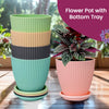 Flower Pot