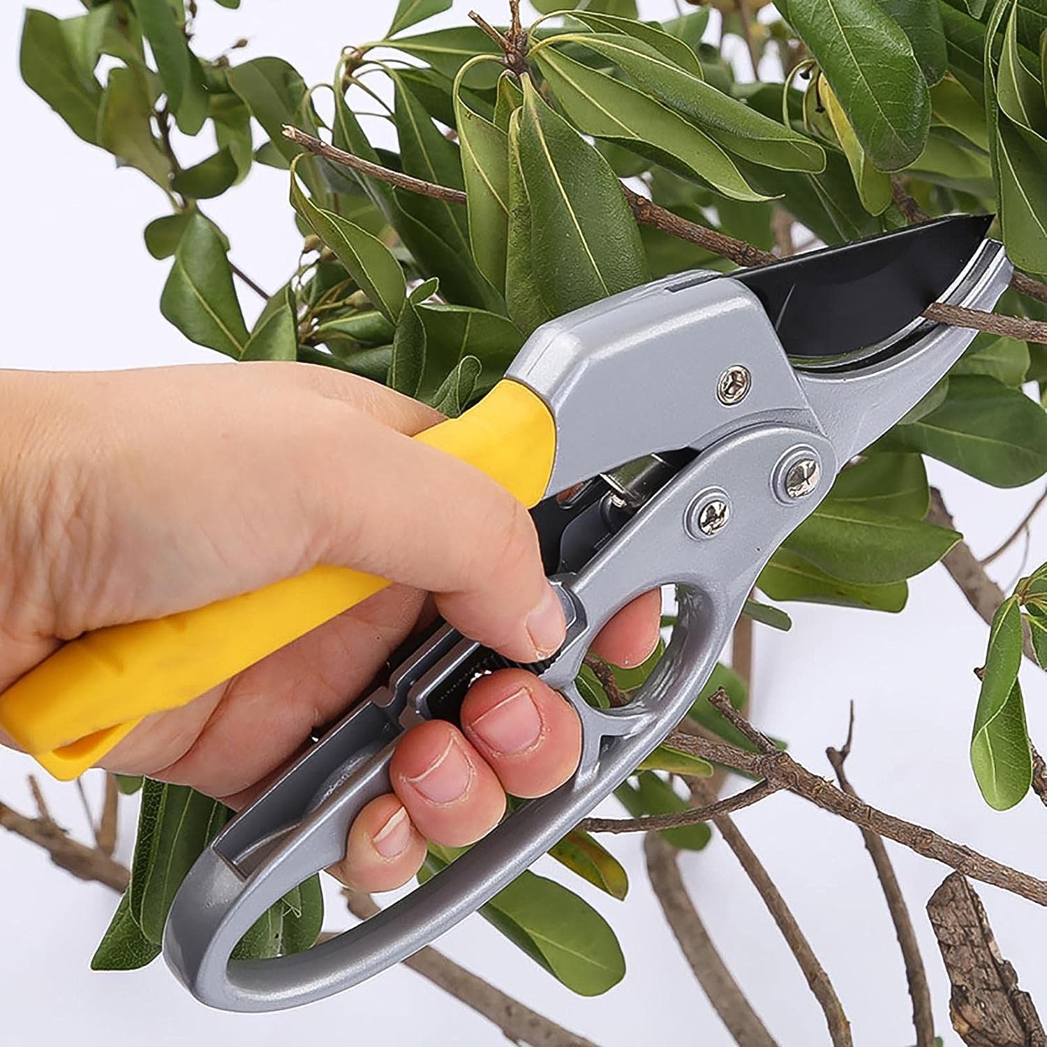 Pruning Shears, Gardening Shears, Enhanced Garden Shears Pruning Machine