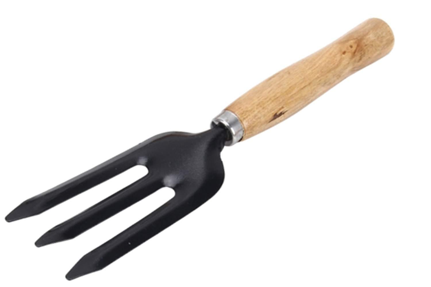 Steel hand weeding fork with black handle.