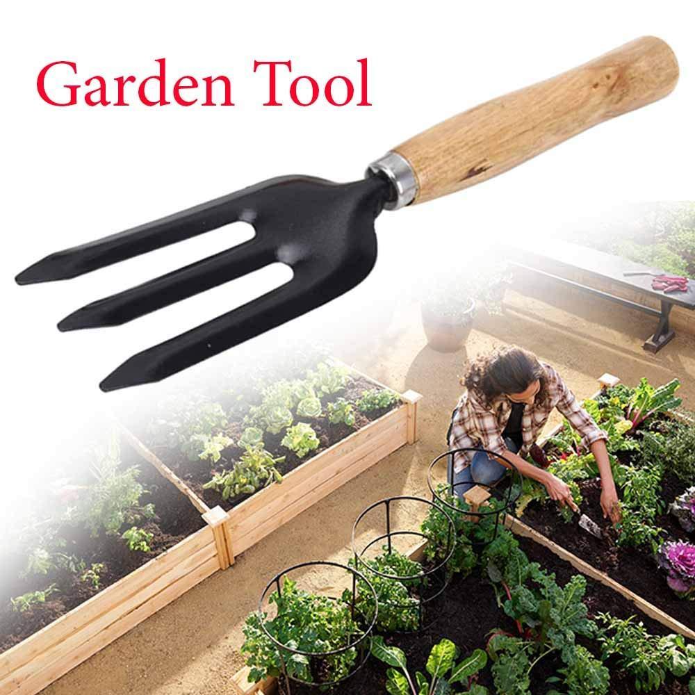 Gardening tools including spade, rake, and pruning shear.